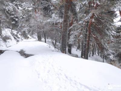 Rebollo de la Maleza; parque natural del montseny sierra de aralar monasterio de la vid cerrada de u
